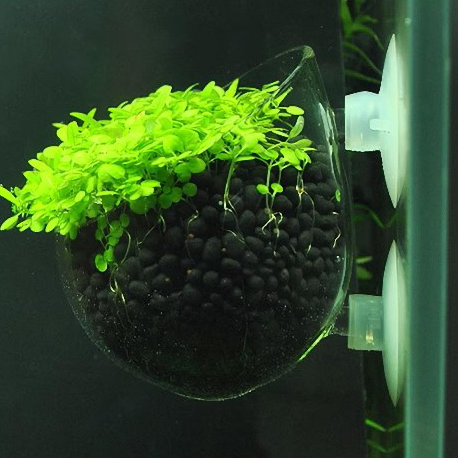 Aquarium Plant Gel - Support pour plantes d'aquarium en verre