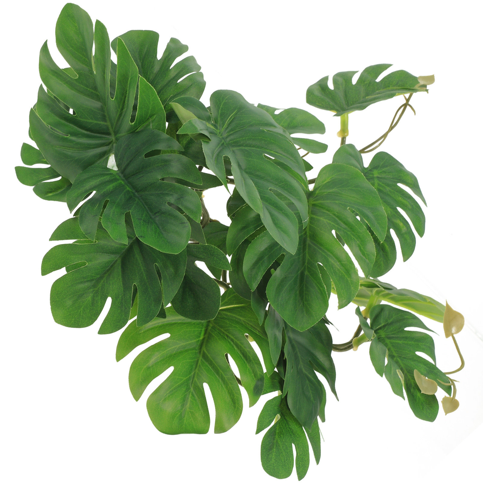 Non Planted Aquarium Fish - Plantes réalistes artificielles non toxiques et