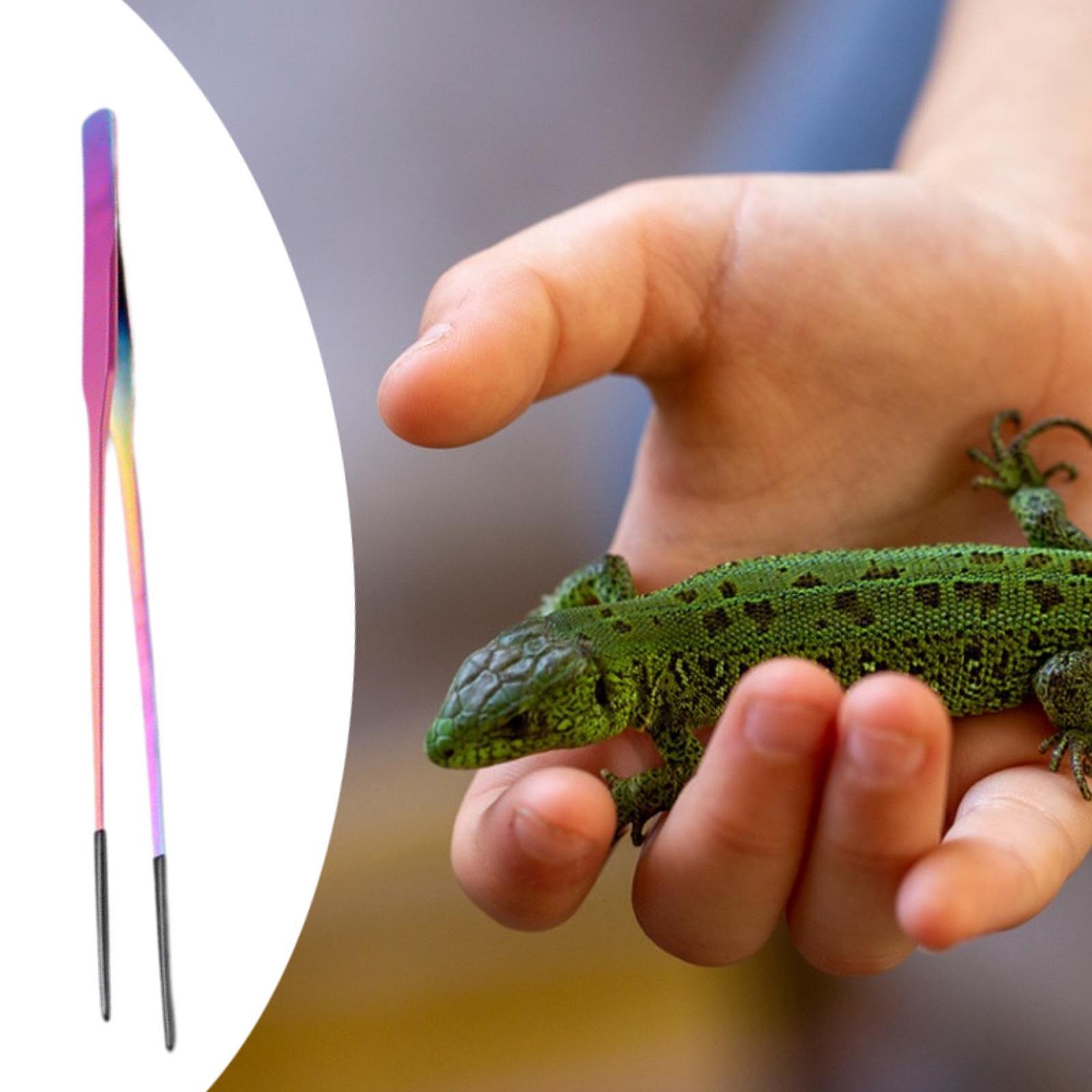 Planted Aquarium Tips - Pinces d'alimentation pour reptiles à pointe