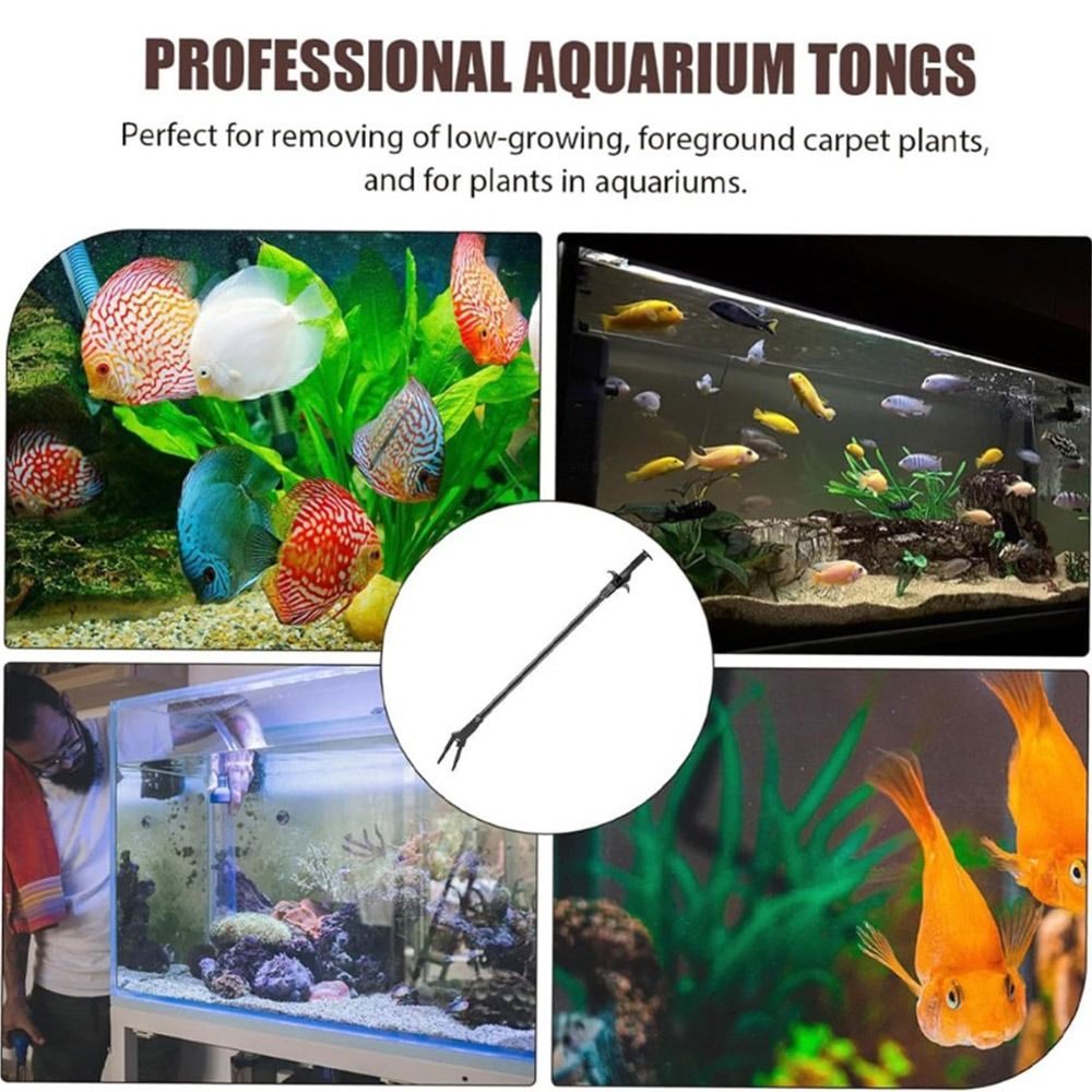 Non Planted Aquarium Fish - Pince à plantes aquatiques en plastique