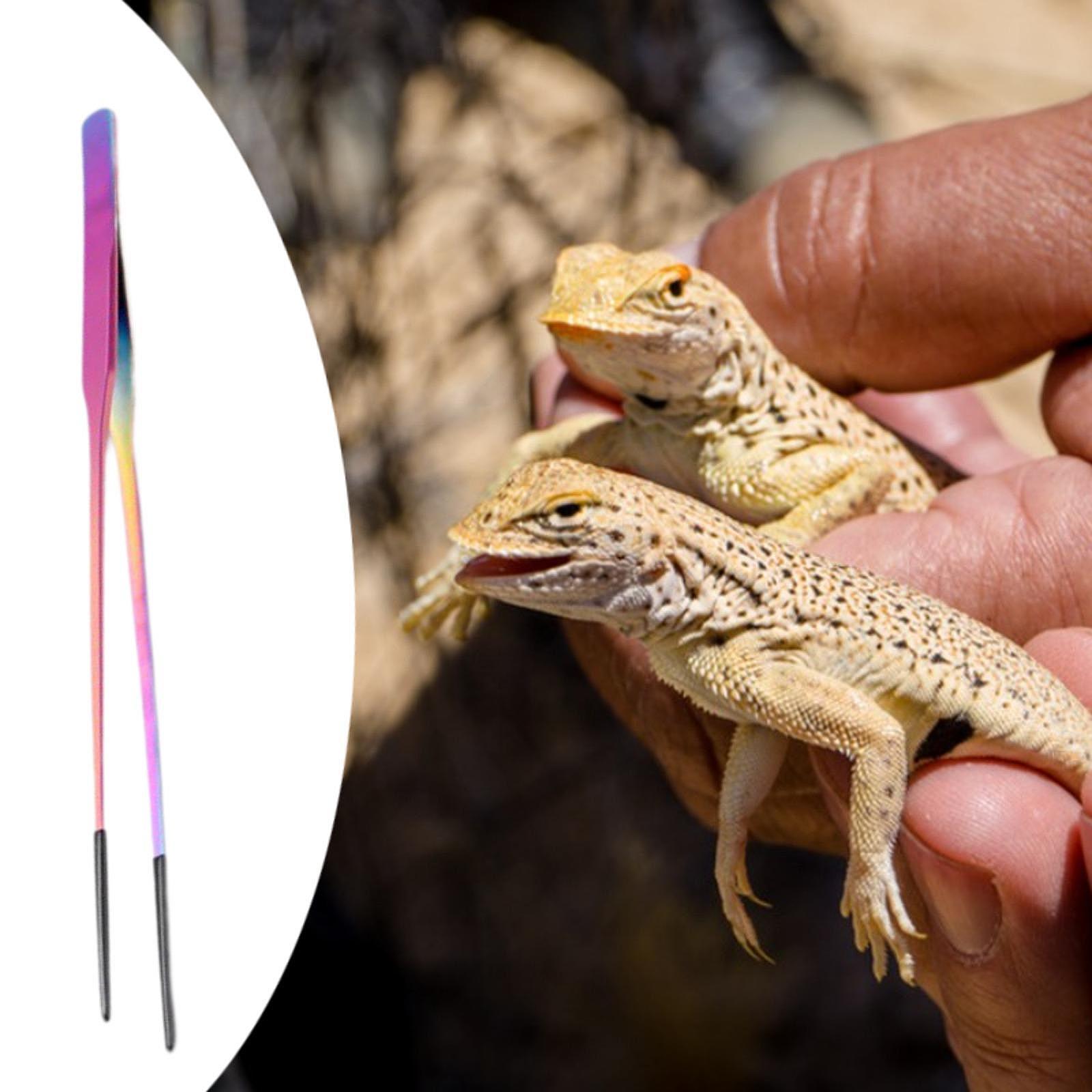 Planted Aquarium Tips - Pinces à nourrir les reptiles avec