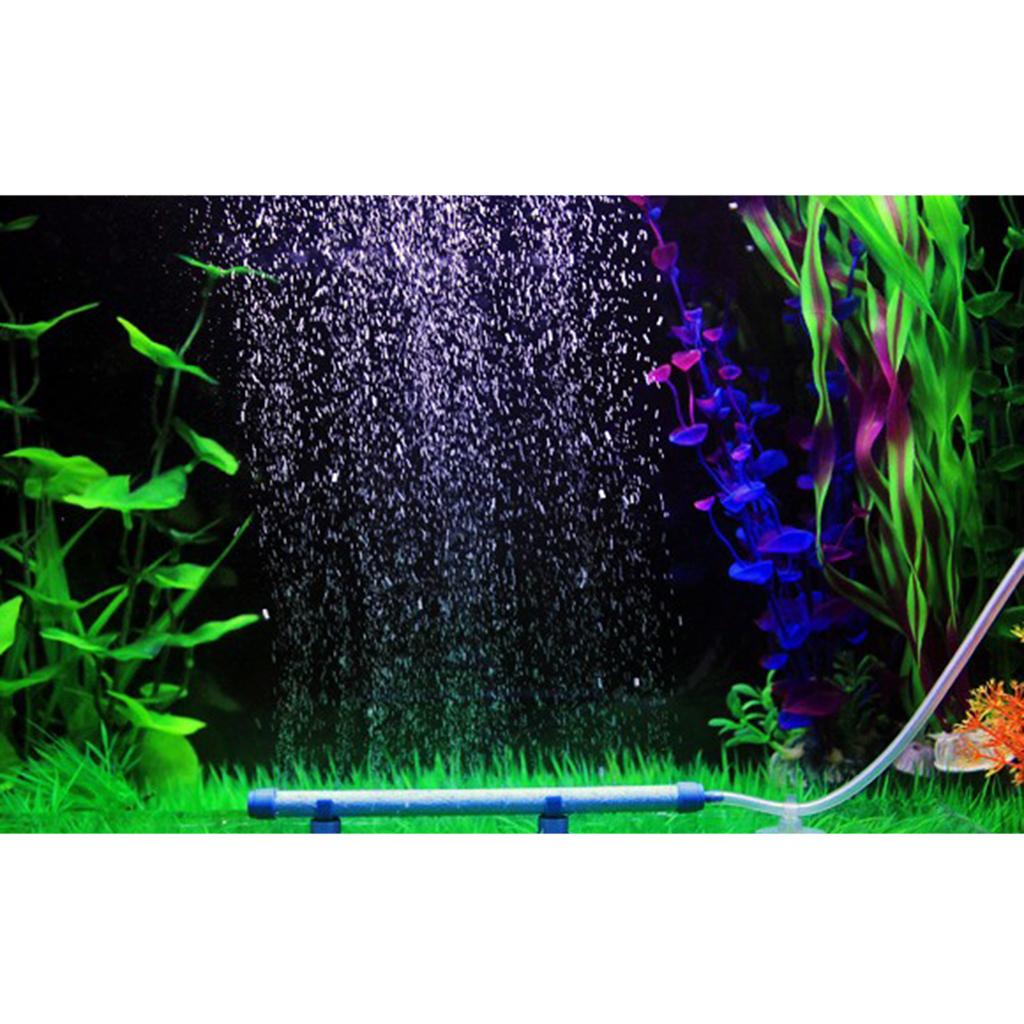 Diffuseur d'oxygène pour aquar - Non Planted Aquarium Fish avis et prix