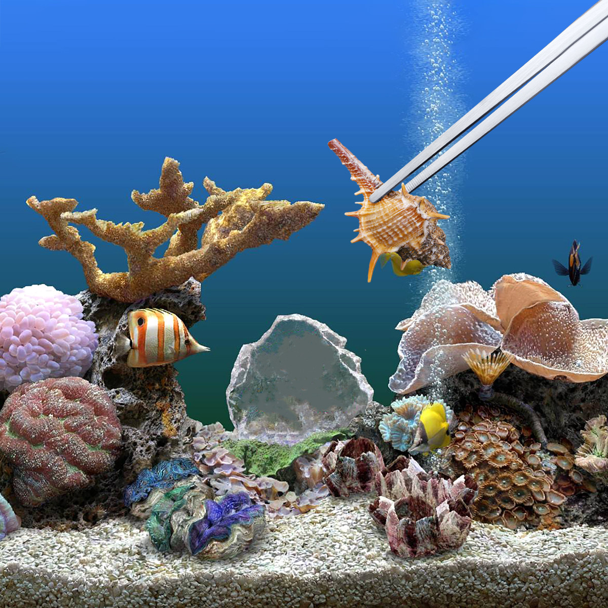 Pince à plantes aquatiques en  - Planted Aquarium Tips avis et prix