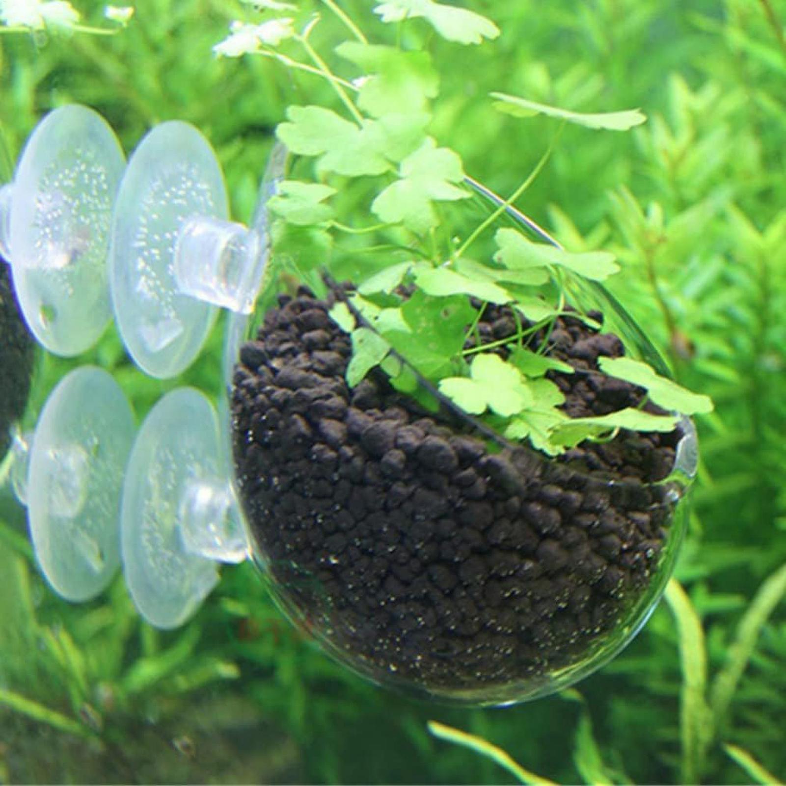 Support pour plantes d'aquariu - Aquarium Plant Gel avis et prix