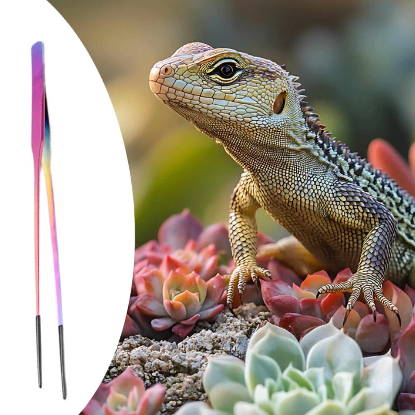 Pinces d'alimentation pour rep - Planted Aquarium Tips avis et prix