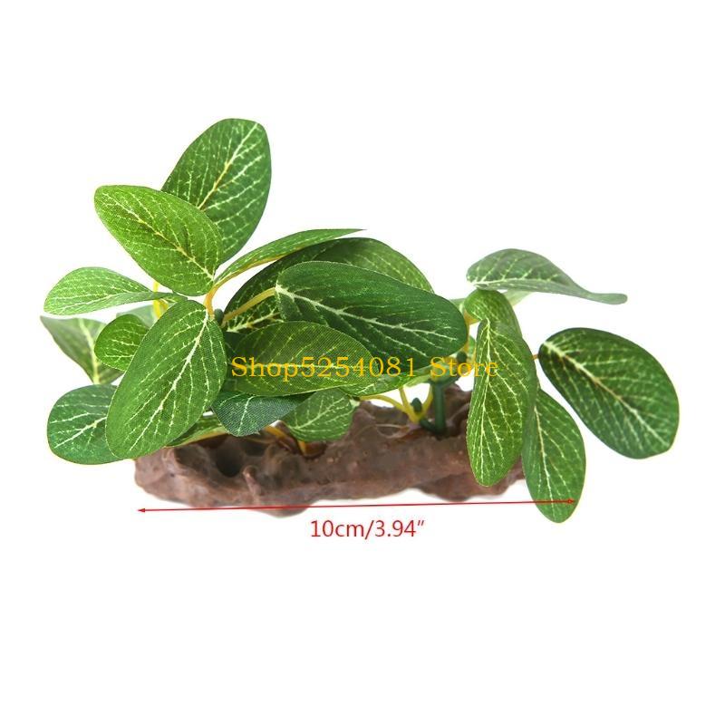AXYC Aquarium paysage bois flo - Non Planted Aquarium Fish avis et prix
