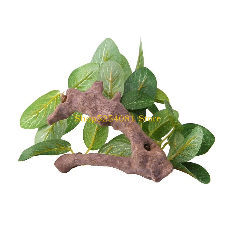 AXYC Aquarium paysage bois flo - Non Planted Aquarium Fish avis et prix