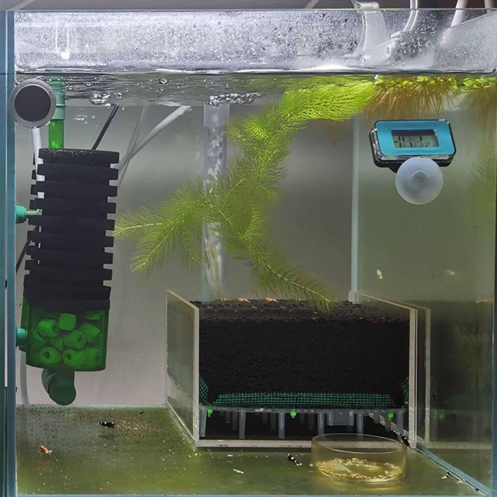 Boîte de filtration d'aquarium - Planted Aquarium Undergravel Filter avis et prix