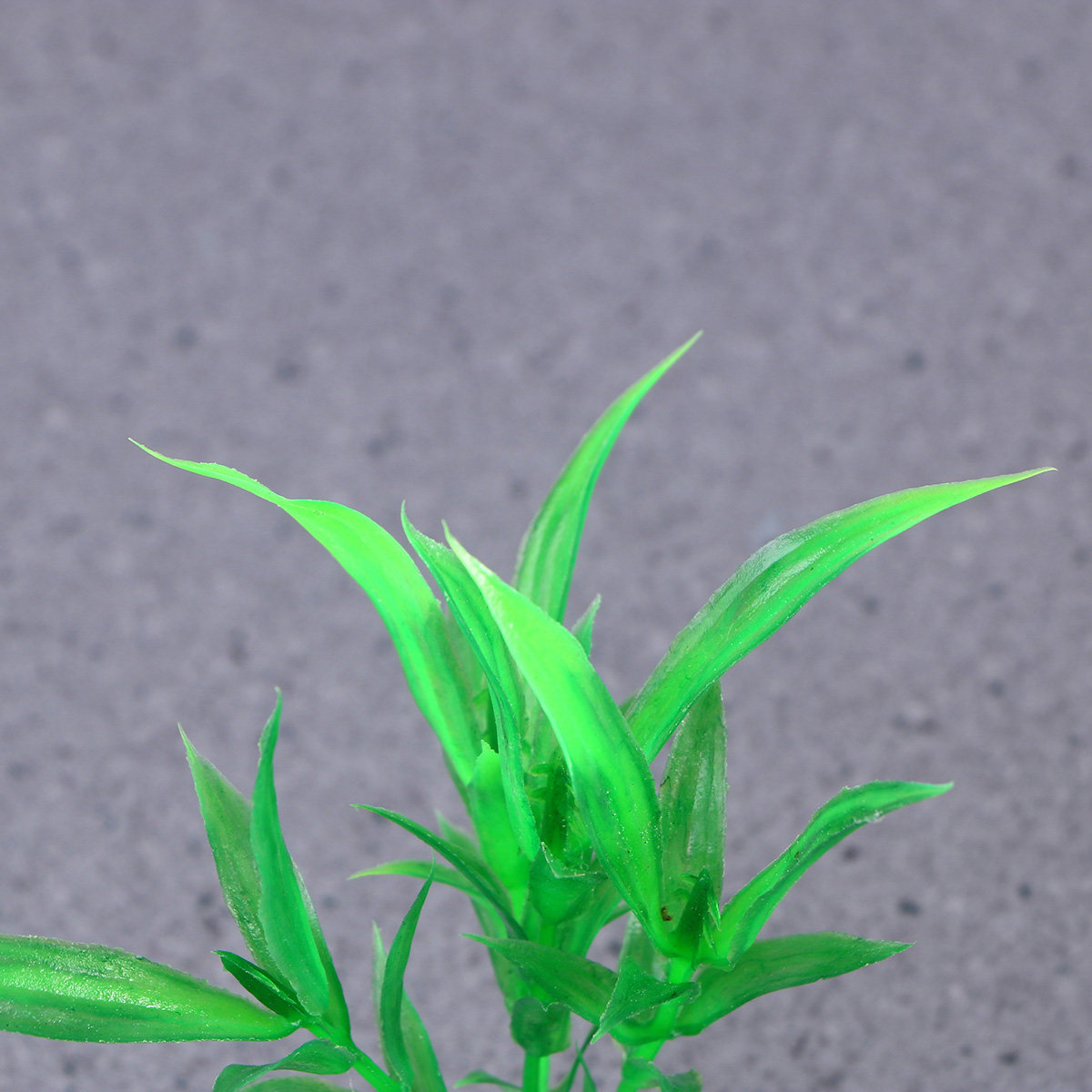 Plantes d'aquarium réalistes,  - Non Planted Aquarium Fish avis et prix