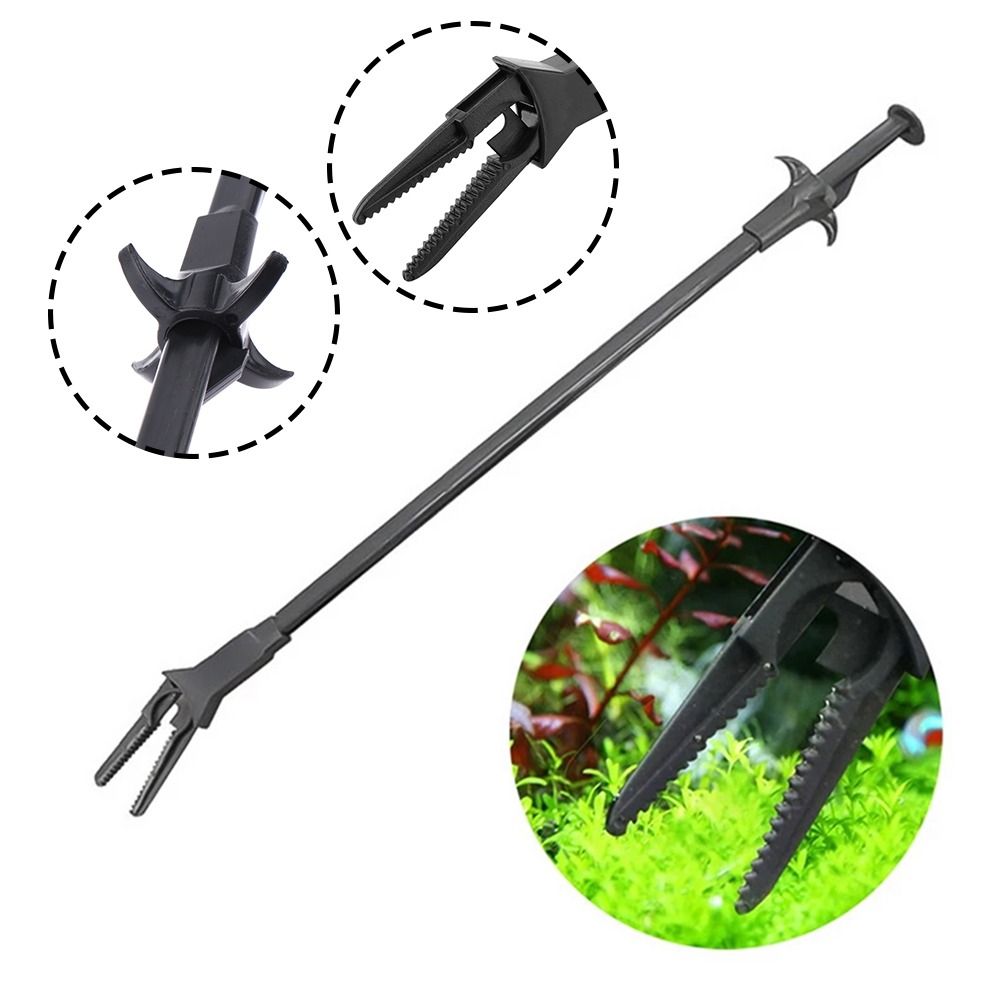 Pince à plantes aquatiques en  - Non Planted Aquarium Fish avis et prix