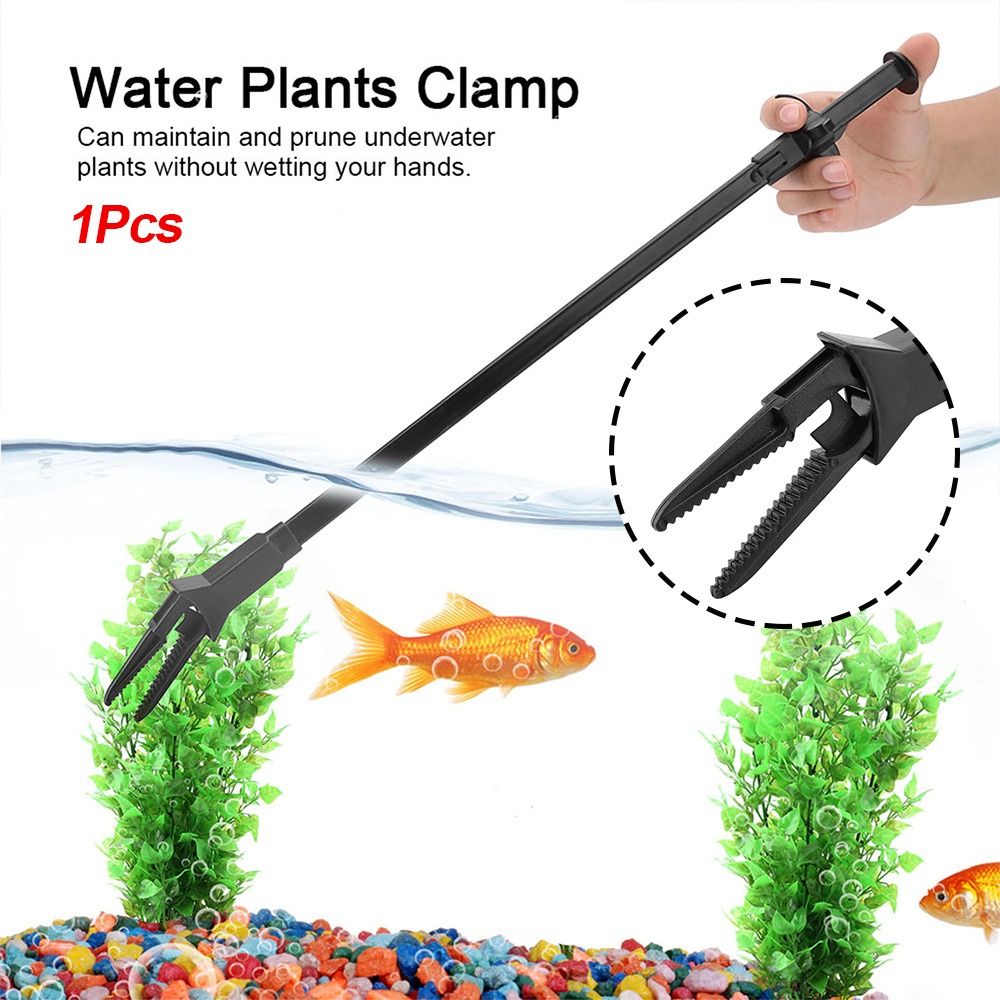 Pince à plantes aquatiques en  - Non Planted Aquarium Fish avis et prix