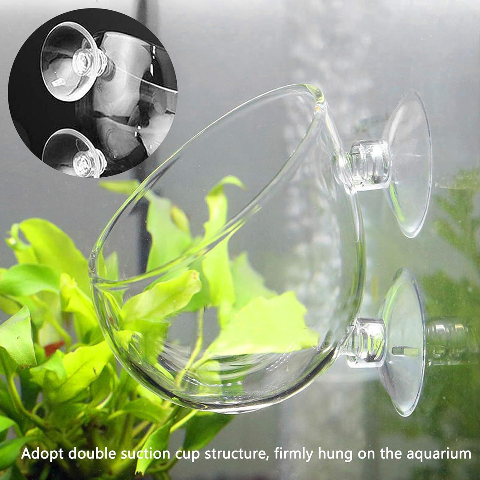 Pot de plantes en verre pour a - Aquarium Plant Gel avis et prix
