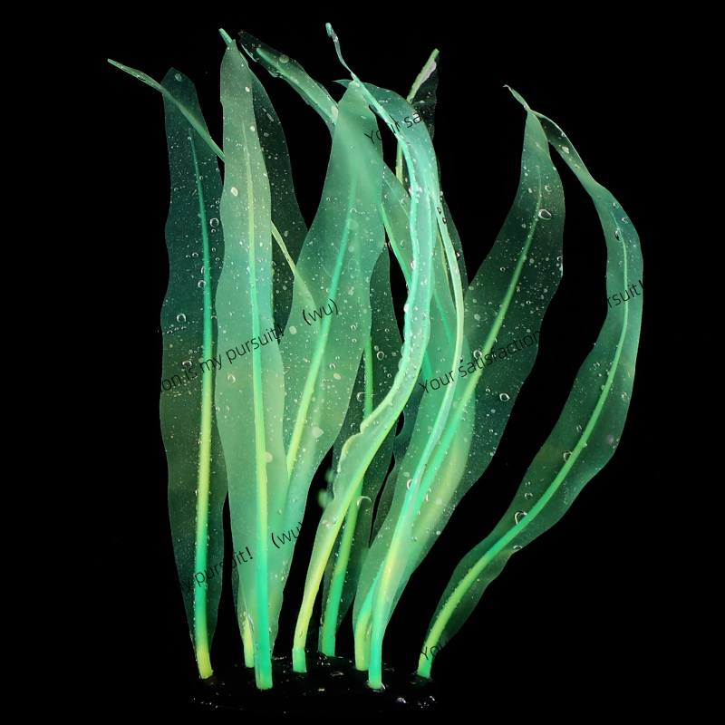 Décoration de plante de varech - Aquarium Plant Gel avis et prix