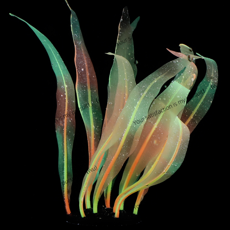 Décoration de plante de varech - Aquarium Plant Gel avis et prix