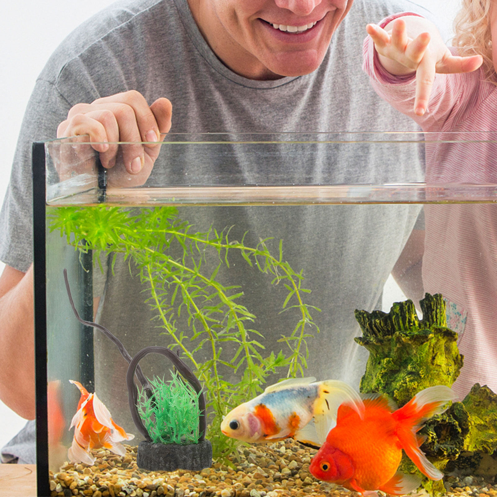Ensemble de plantes artificiel - Non Planted Aquarium Fish avis et prix