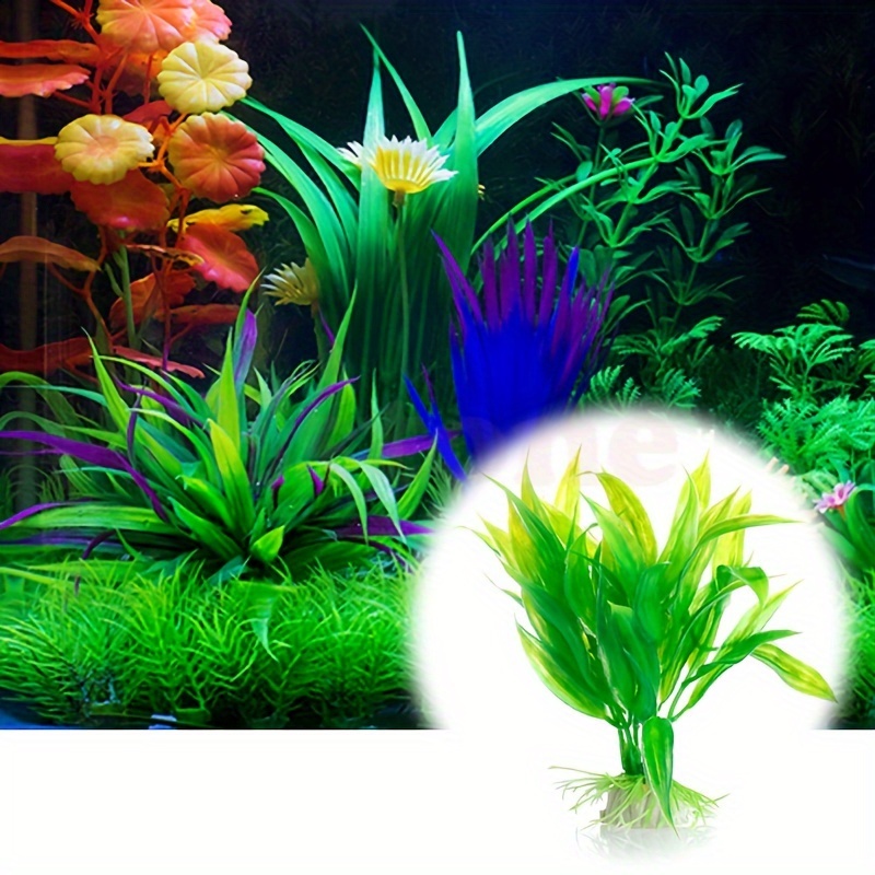 10 pièces de plantes aquatique - Non Planted Aquarium Fish avis et prix