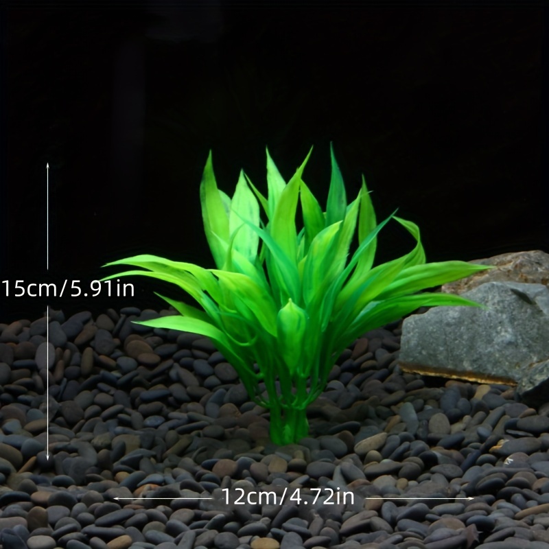 10 pièces de plantes aquatique - Non Planted Aquarium Fish avis et prix
