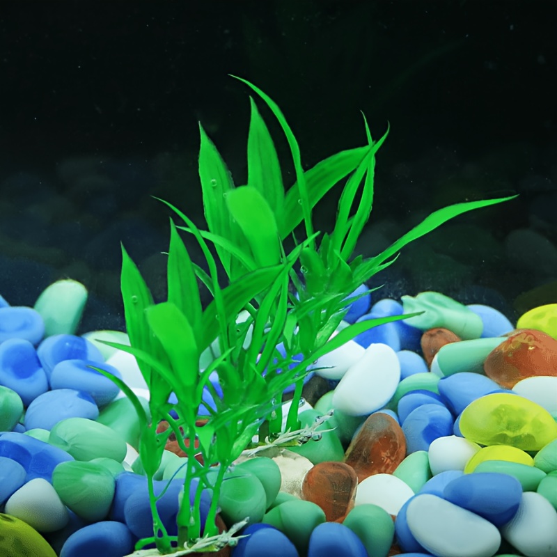 10 pièces de plantes aquatique - Non Planted Aquarium Fish avis et prix