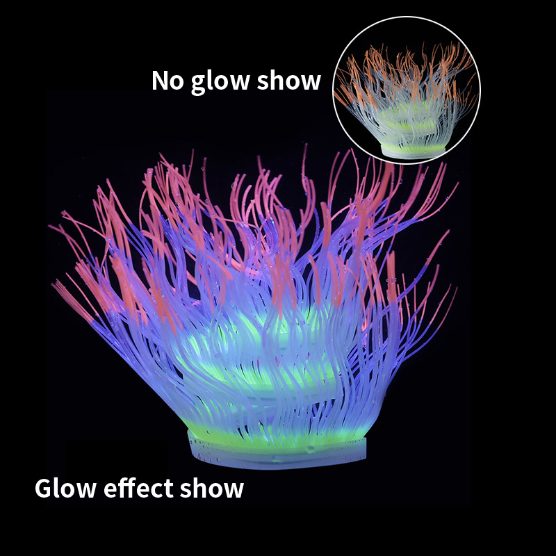 Plantes de corail anémone de m - Aquarium Plant Gel avis et prix
