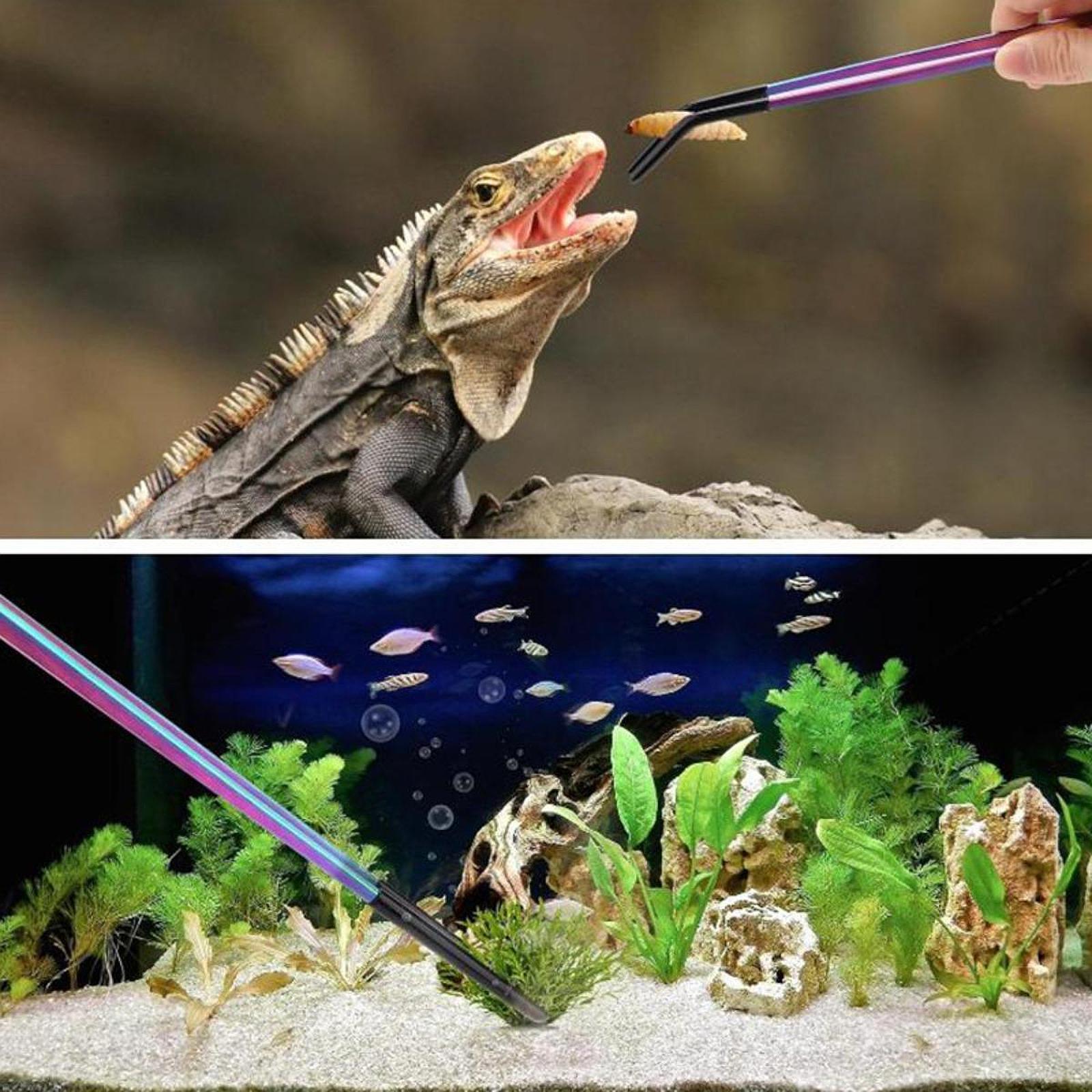 Pinces à nourrir les reptiles  - Planted Aquarium Tips avis et prix