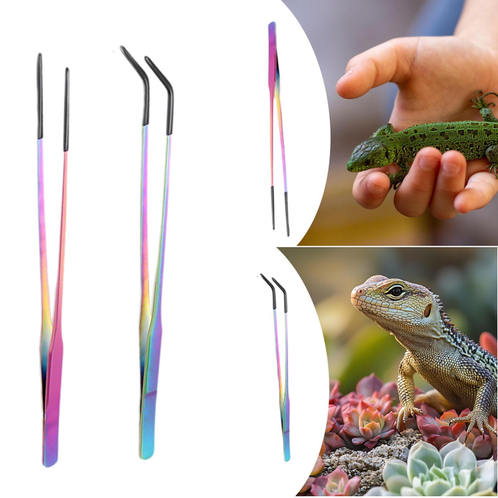Pinces à nourrir les reptiles  - Planted Aquarium Tips avis et prix