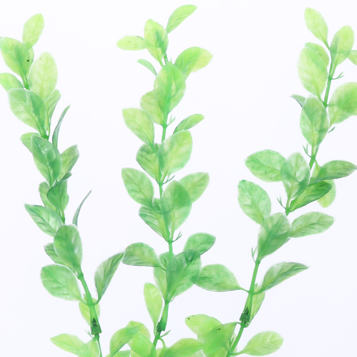 3 Pièces Plantes Artificielles - Non Planted Aquarium Fish avis et prix